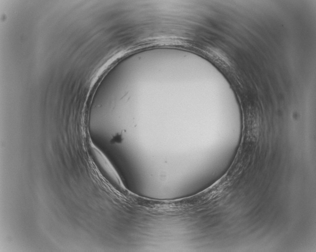 X0000053011182200507291700