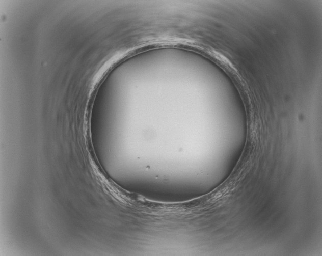 X0000053011183200507291700