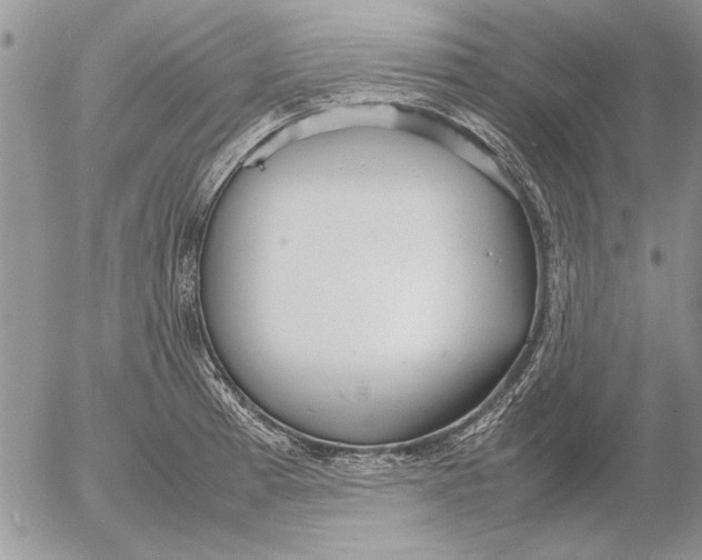 X0000053011185200507291700