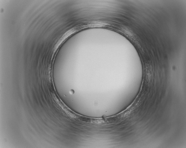 X0000053011186200507291700