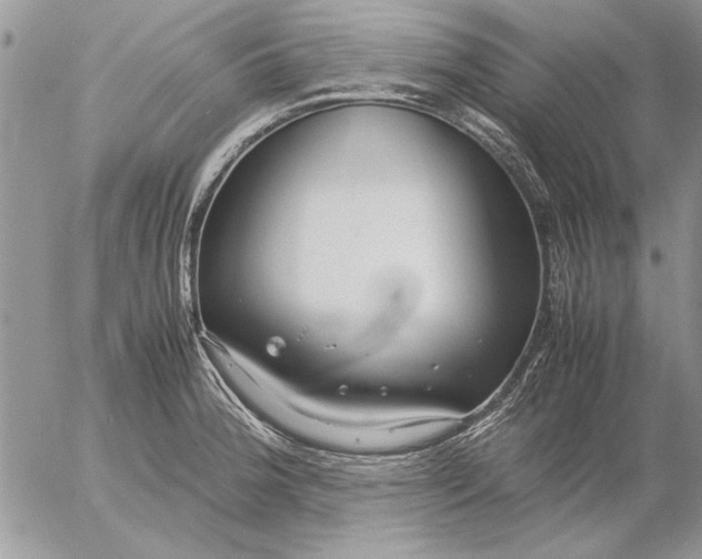 X0000053011188200507291700