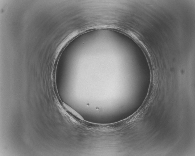 X0000053011189200507291700