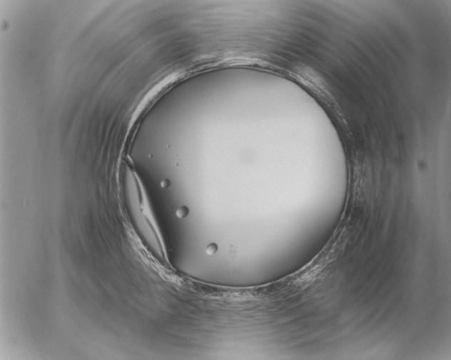 X0000053011190200507291700