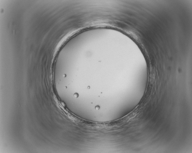 X0000053011191200507291700