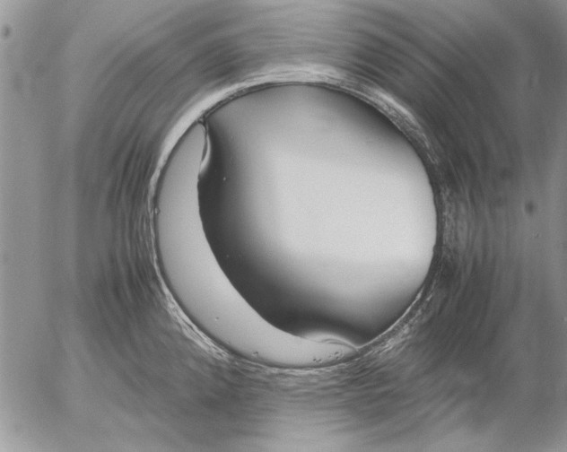 X0000053011192200507291700