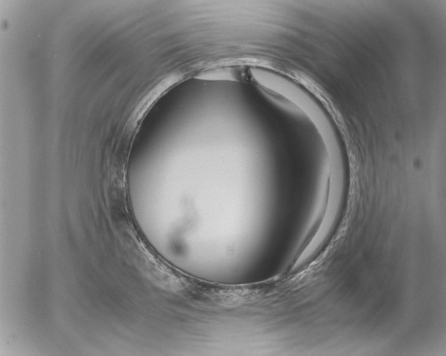 X0000053011193200507291700