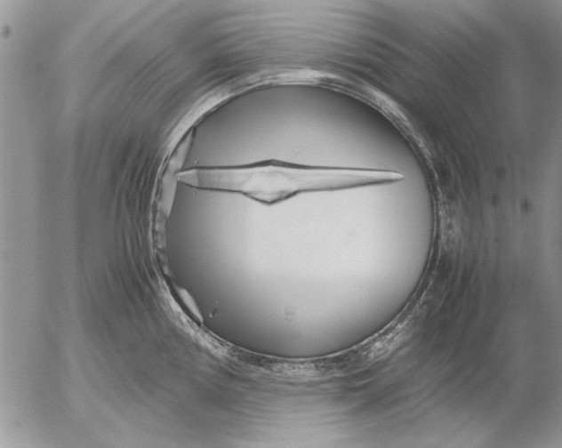 X0000053011194200507291700