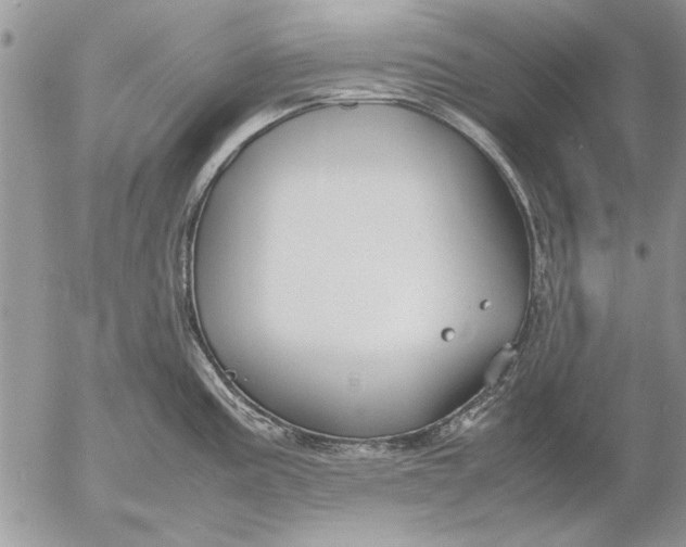 X0000053011195200507291700