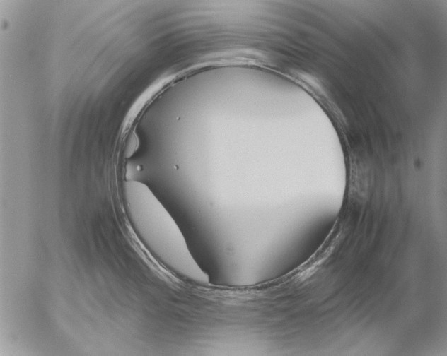 X0000053011196200507291700