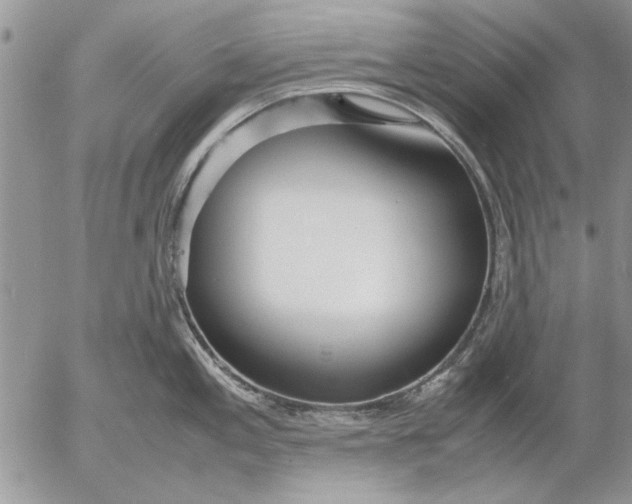 X0000053011197200507291700