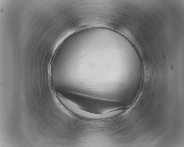 X0000053011198200507291700