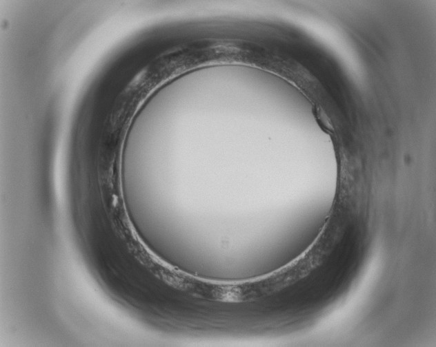 X0000053011199200507291700