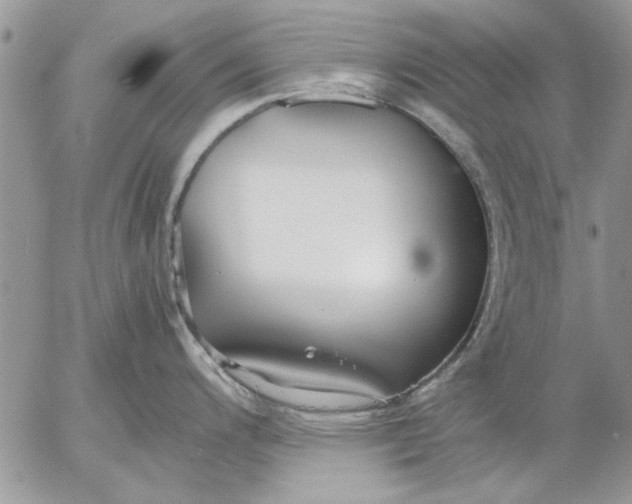 X0000053011200200507291700