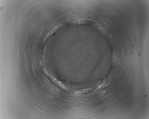 X0000053011202200507291659