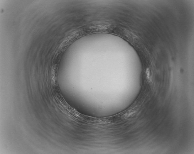 X0000053011203200507291659