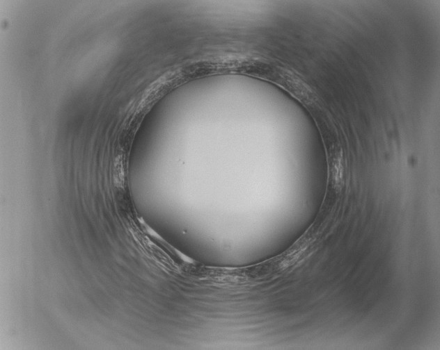 X0000053011204200507291659