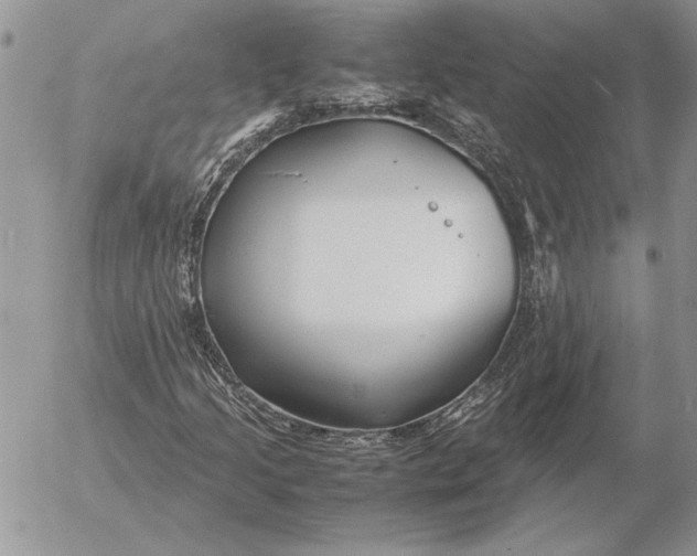 X0000053011205200507291659