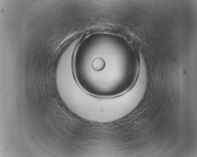 X0000053011206200507291659