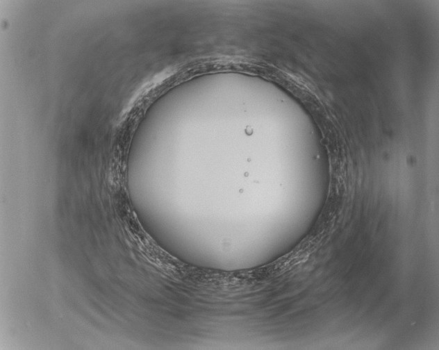 X0000053011207200507291659