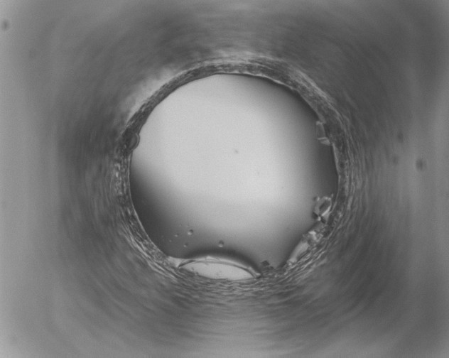 X0000053011208200507291659