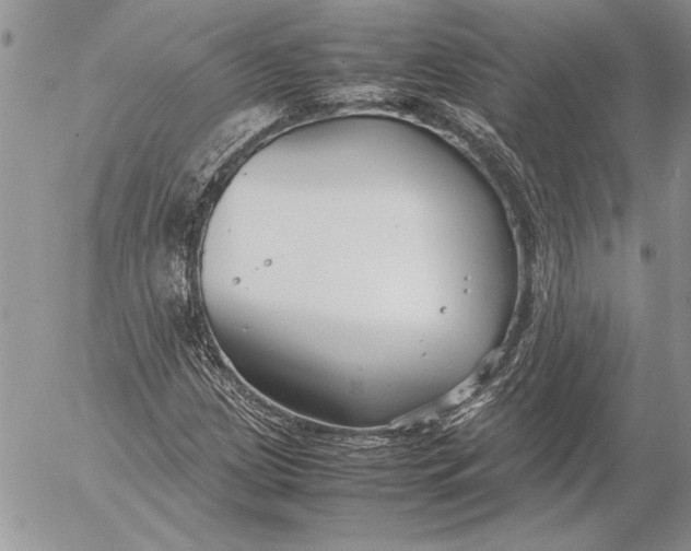 X0000053011209200507291659