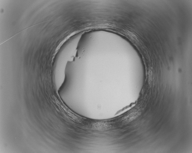 X0000053011212200507291659