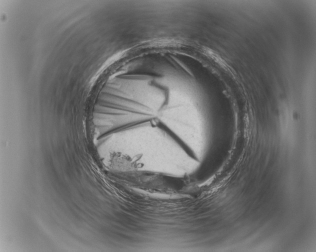 X0000053011213200507291659