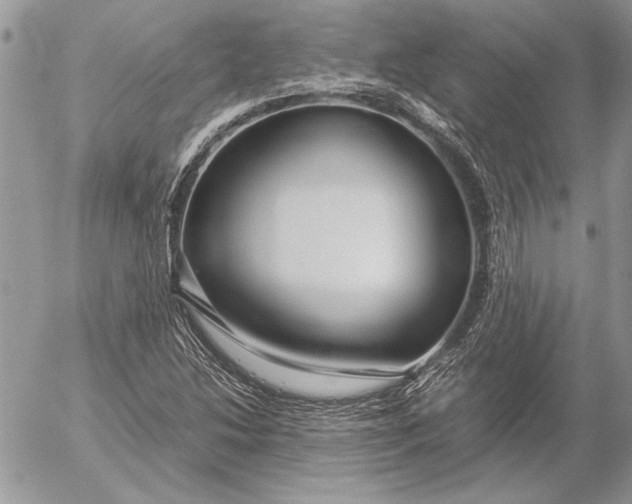 X0000053011214200507291659