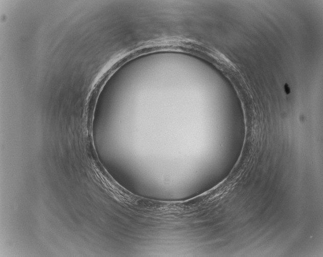 X0000053011216200507291659