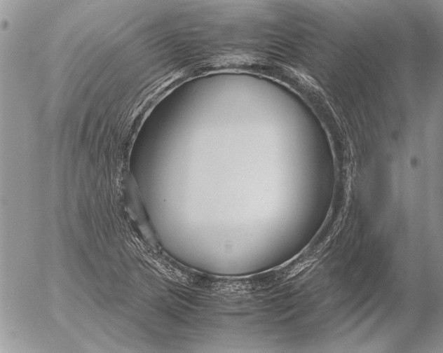 X0000053011217200507291659