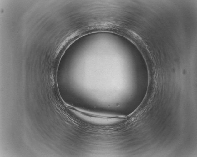 X0000053011218200507291659