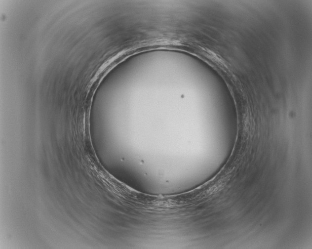 X0000053011220200507291659