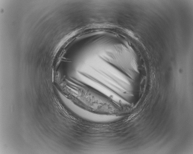 X0000053011221200507291659