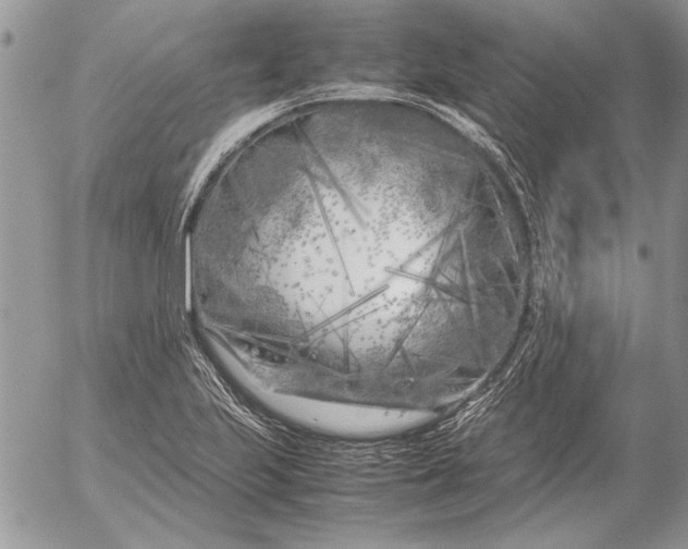 X0000053011223200507291659