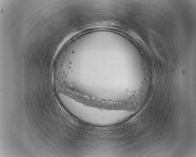 X0000053011224200507291659