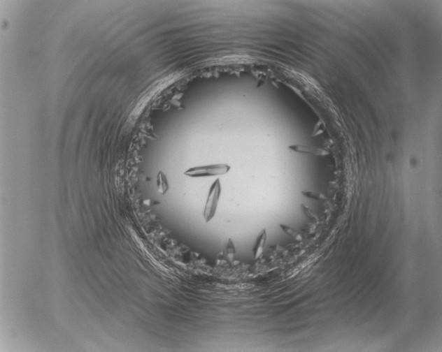 X0000053011225200507291659