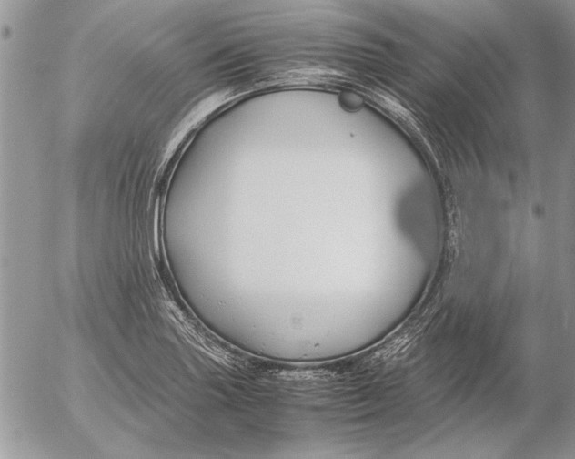 X0000053011227200507291659