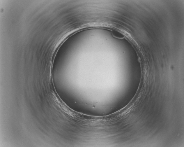 X0000053011228200507291659