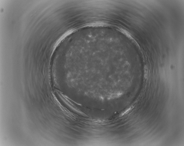 X0000053011229200507291659