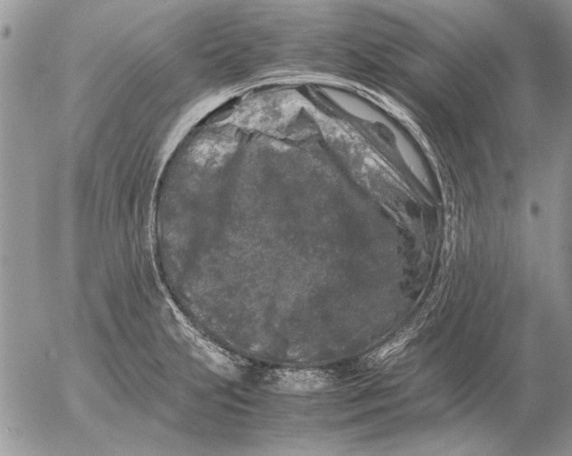 X0000053011231200507291659