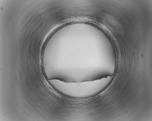 X0000053011232200507291659