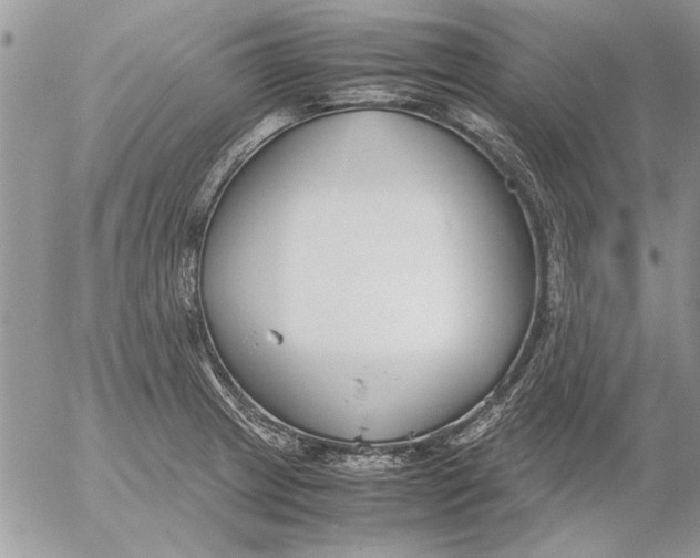 X0000053011233200507291659