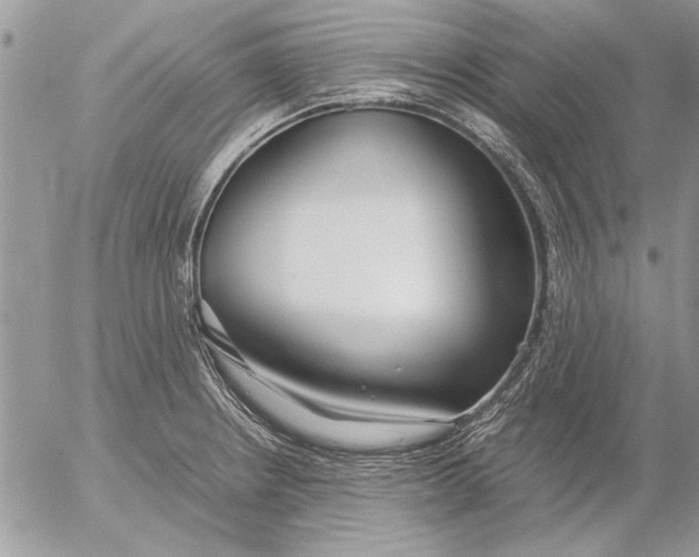 X0000053011234200507291659