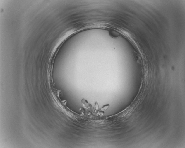 X0000053011235200507291659