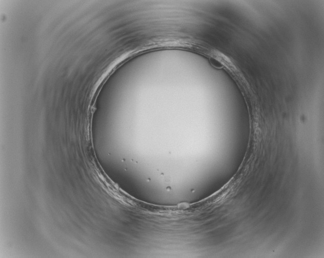 X0000053011236200507291659