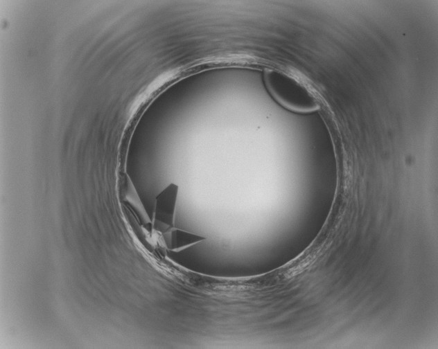 X0000053011237200507291659