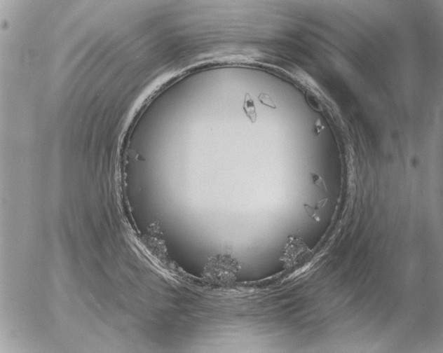 X0000053011240200507291659