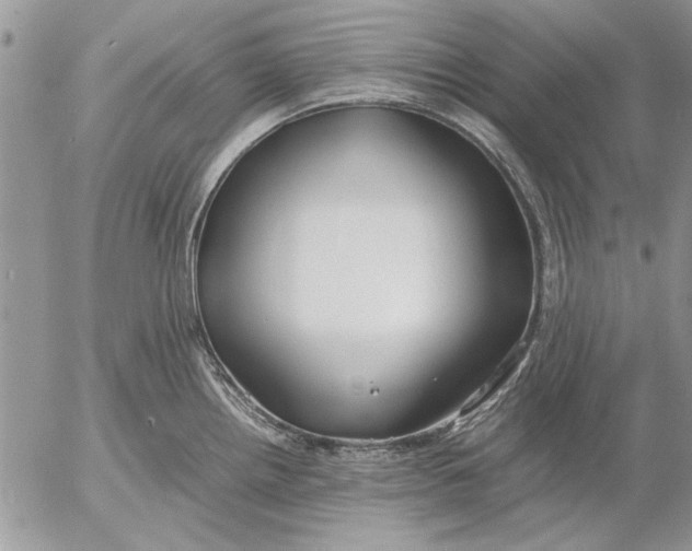 X0000053011242200507291700