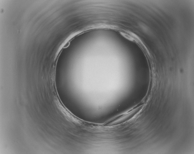 X0000053011244200507291700