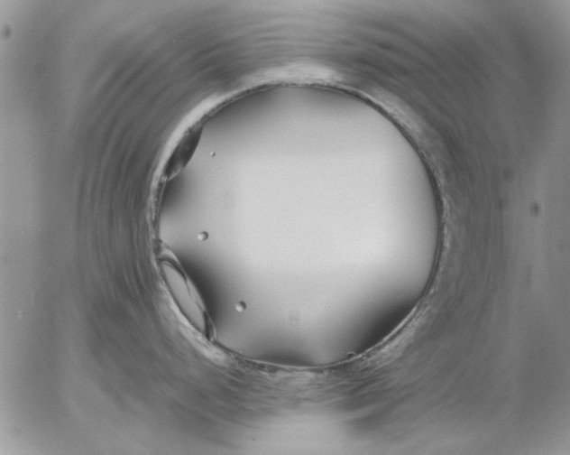 X0000053011248200507291700